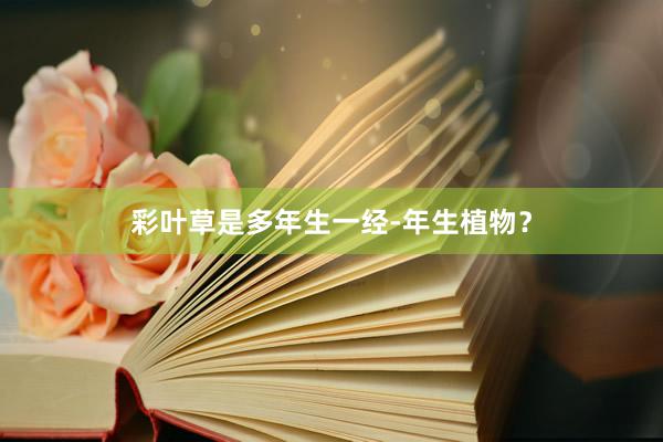 彩叶草是多年生一经-年生植物？