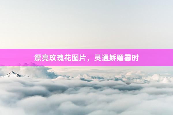 漂亮玫瑰花图片，灵通娇媚霎时