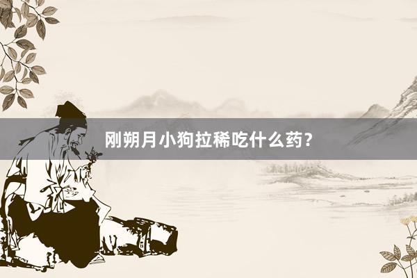 刚朔月小狗拉稀吃什么药？