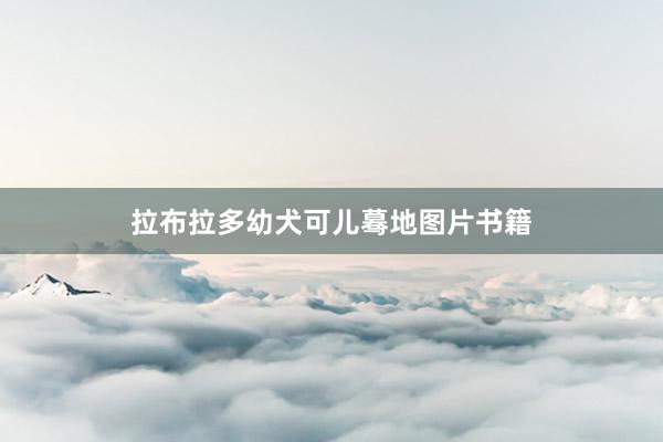 拉布拉多幼犬可儿蓦地图片书籍